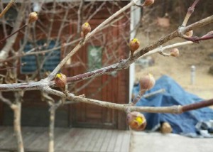 크기변환_1392279671031.jpg