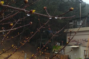 크기변환_2014-02-26 16.33.28.jpg