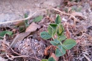 20140216_173301.jpg