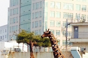 사진_1~1.JPG