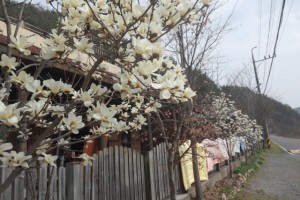 크기변환_CAM00330.jpg