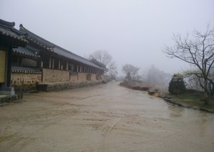ooCAM03331.jpg