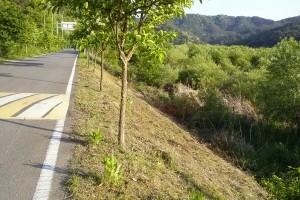 크기변환_CAM03768.jpg