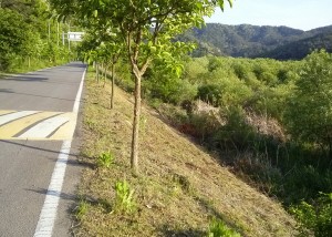 크기변환_CAM03768.jpg