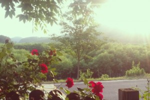 r_PicsArt_1400769067427.jpg