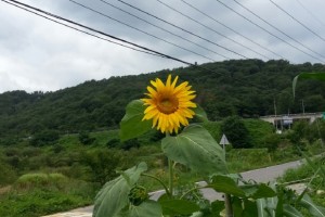 크기변환_KakaoTalk_20140724_183033981.jpg