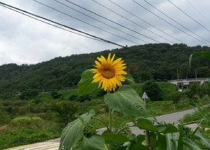 크기변환_KakaoTalk_20140724_183033981.jpg