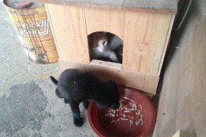 크기변환_사본 -1415700926176.jpg